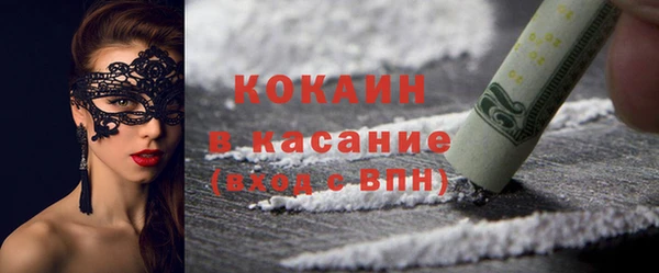 твердый Кулебаки