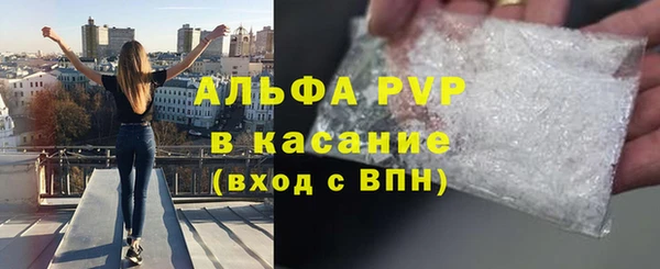 гидра Кукмор