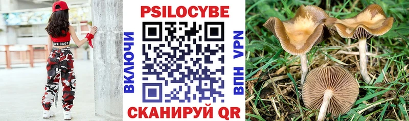 Галлюциногенные грибы GOLDEN TEACHER  Усть-Джегута 