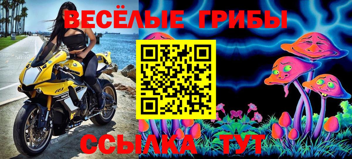 Галлюциногенные грибы мухоморы  Вход с VPN  Усть-Джегута 