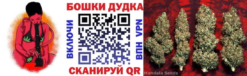 Бошки Шишки план  Усть-Джегута 
