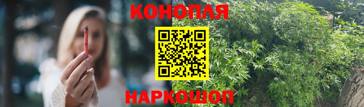 Бошки Шишки White Widow  Канабис OG Kush  Усть-Джегута  Вход с VPN 